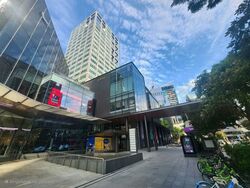 Ngee Ann City Tower A (D9), Shop House #559195691